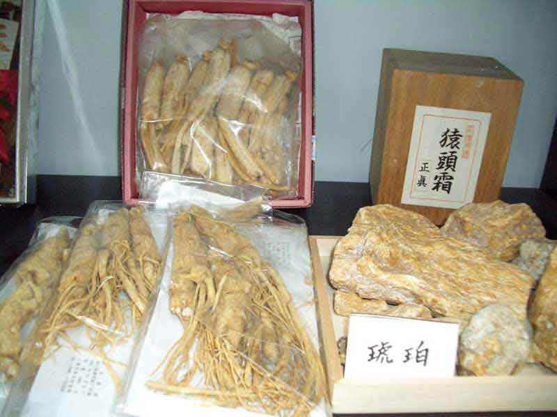 薬局内2。猿頭霜、琥珀、桂皮、蘇木。他12品展示