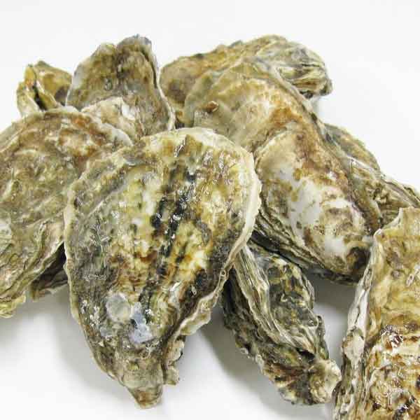 糖尿病に関して