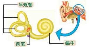眩暈