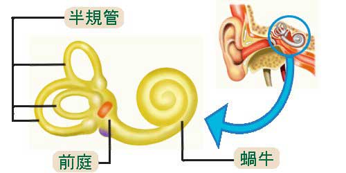 眩暈