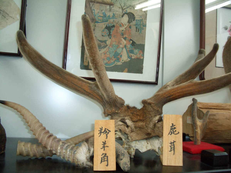 病の性質と虚実の3つの診断について