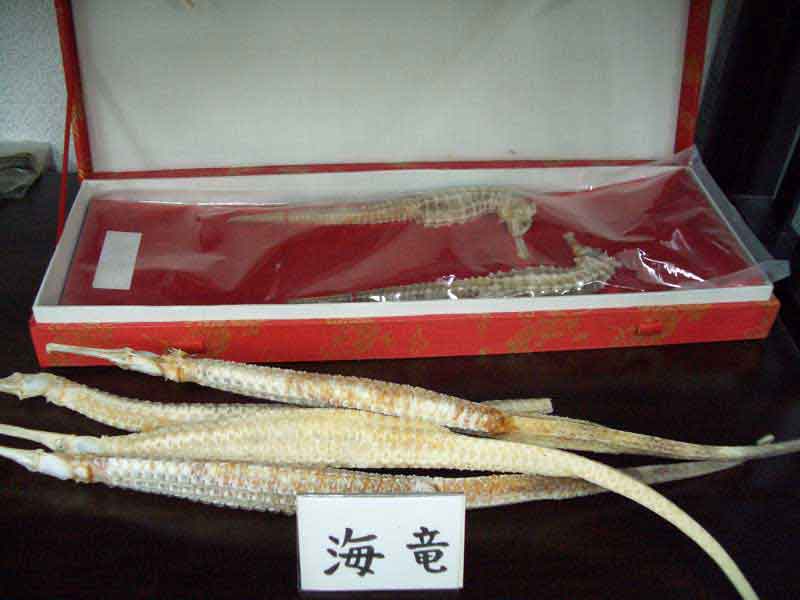 薬局内3。海竜、海馬、黄柏、杜仲。他15品展示