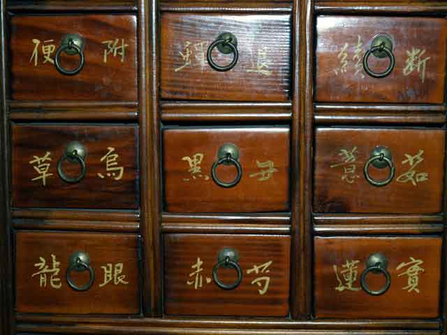尋常性白斑に対する糸練功の展望