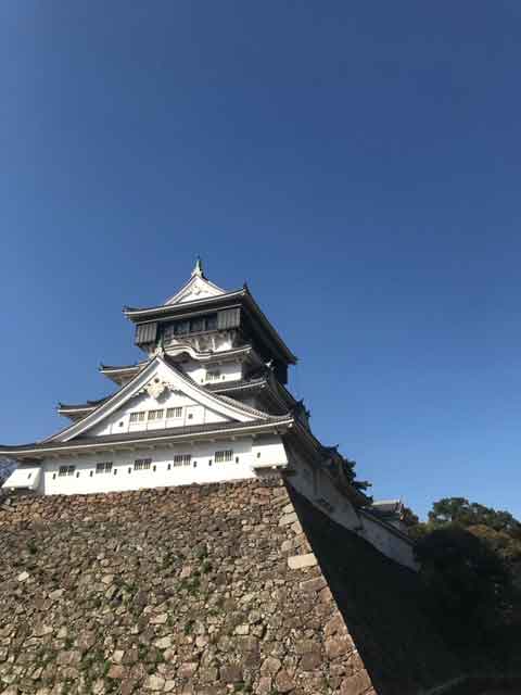 血熱を造る血毒