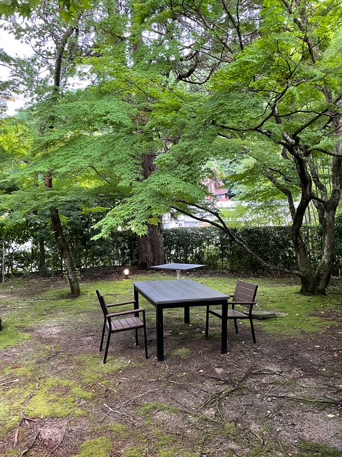 漢方薬の不思議な疑問。柴胡、黄芩、芍薬、人参、牡蠣、甘草