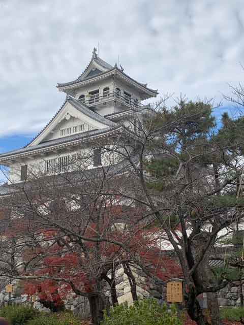 誰でも判る望診