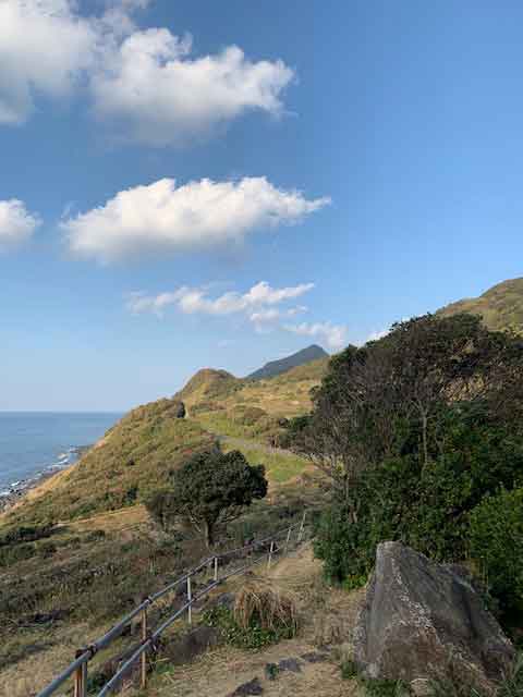 病と東洋医学の体質