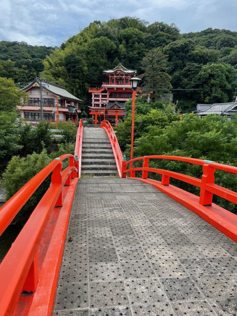 漢方薬は限局的な働き