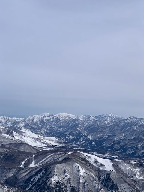 傷寒論宋版の桂枝湯条文