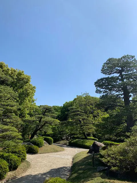 漢方の診たて