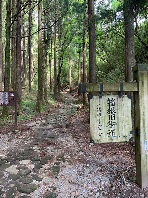 漢方薬の質と不思議な植生