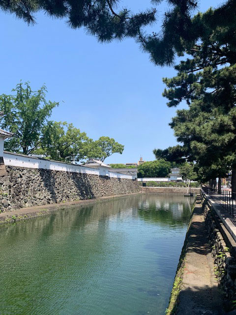 誰でも分かる舌診