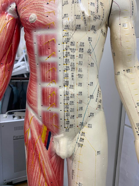 肉体は電気的信号、刺激で動く
