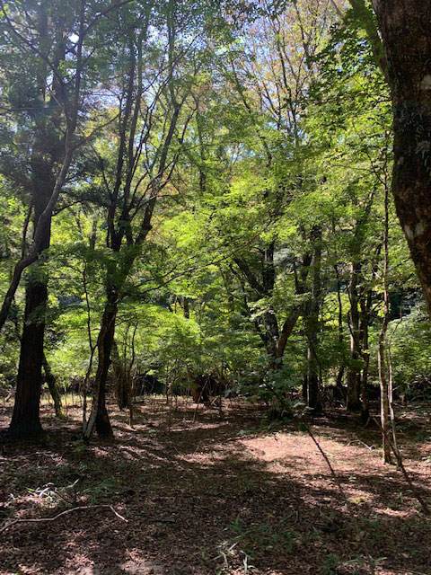 季節と土地に合わす養生