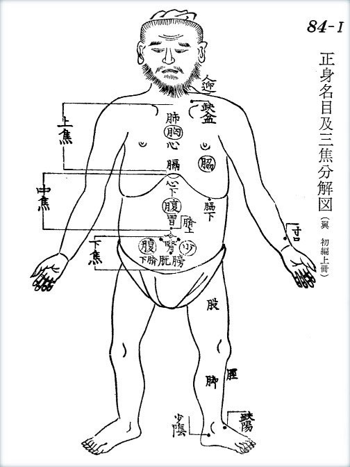 少陽病の虚証と実証
