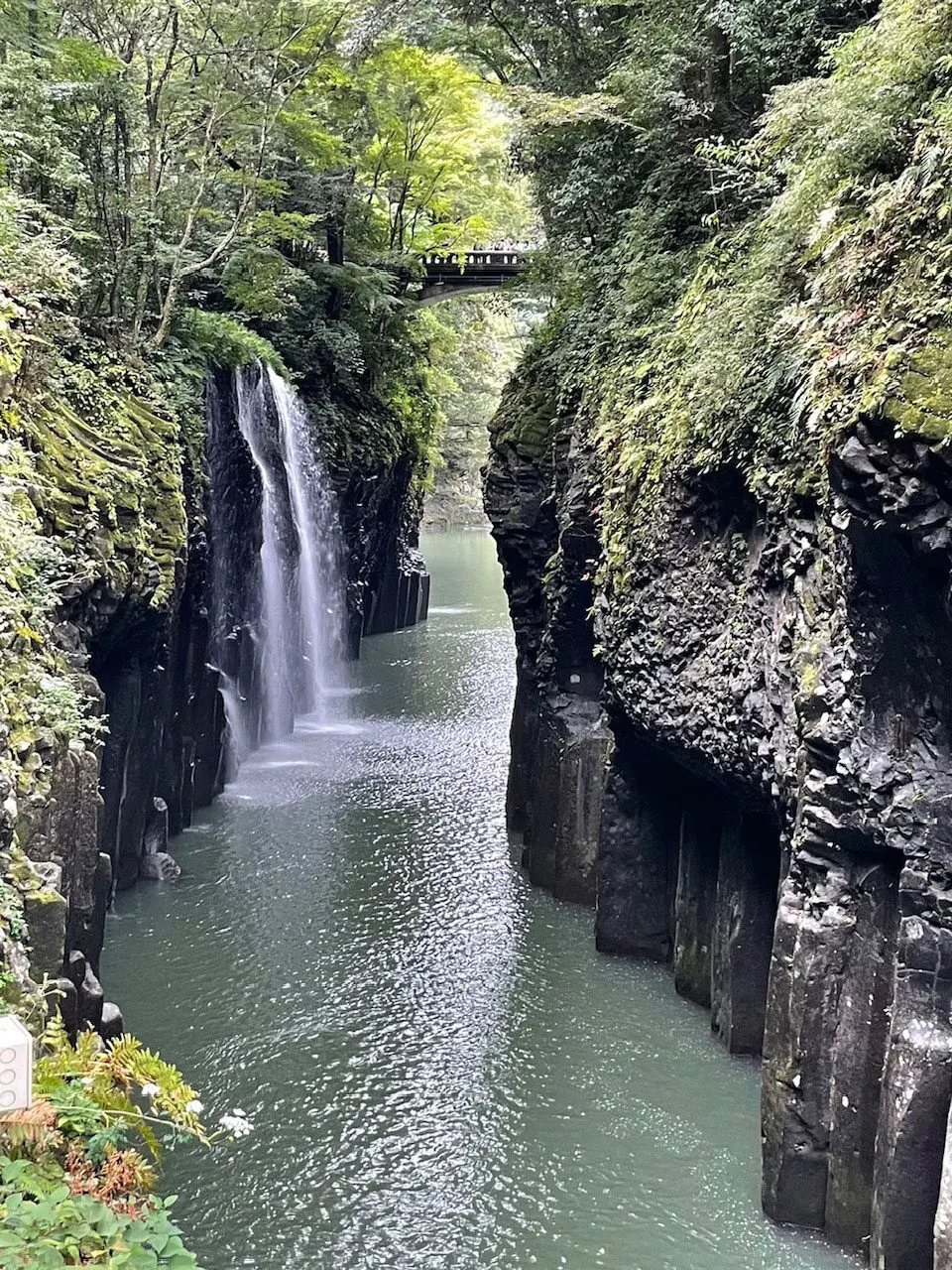 頑張って続けてきて良かったです