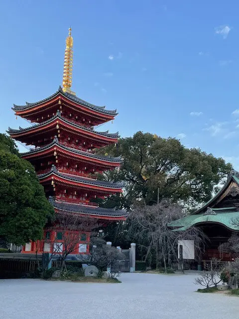 随分痛みが減りました