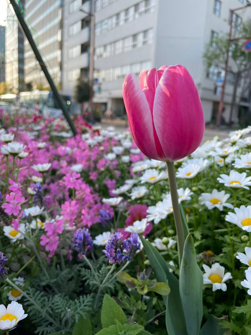 皮膚の状態も落ち着いてます