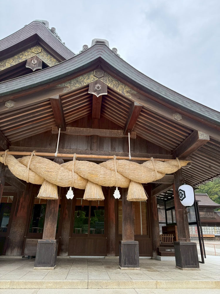 赤みを伴う顔のポツポツ