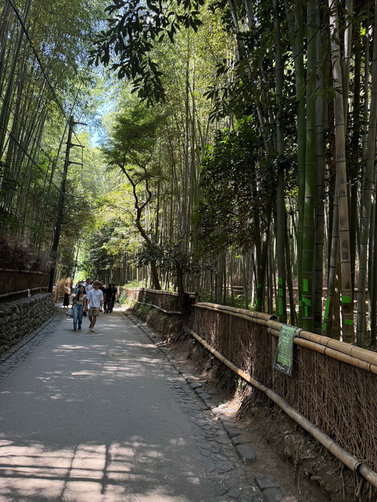 不眠や疲労感、イライラなどの不定愁訴