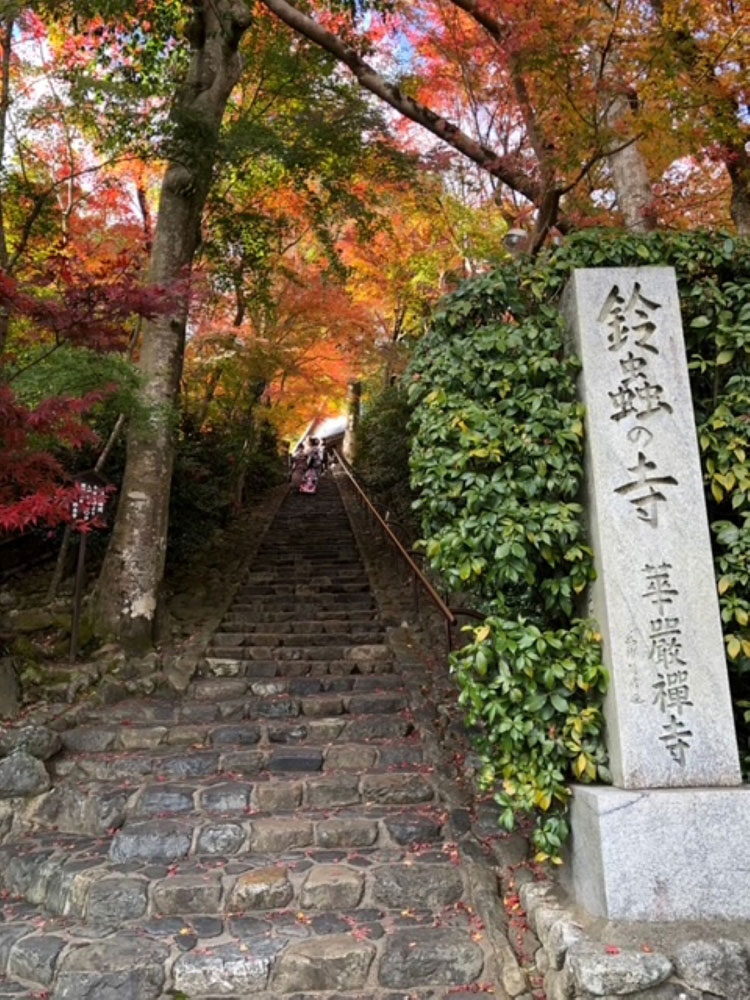 瘻管のしこりは、殆ど無くなりました