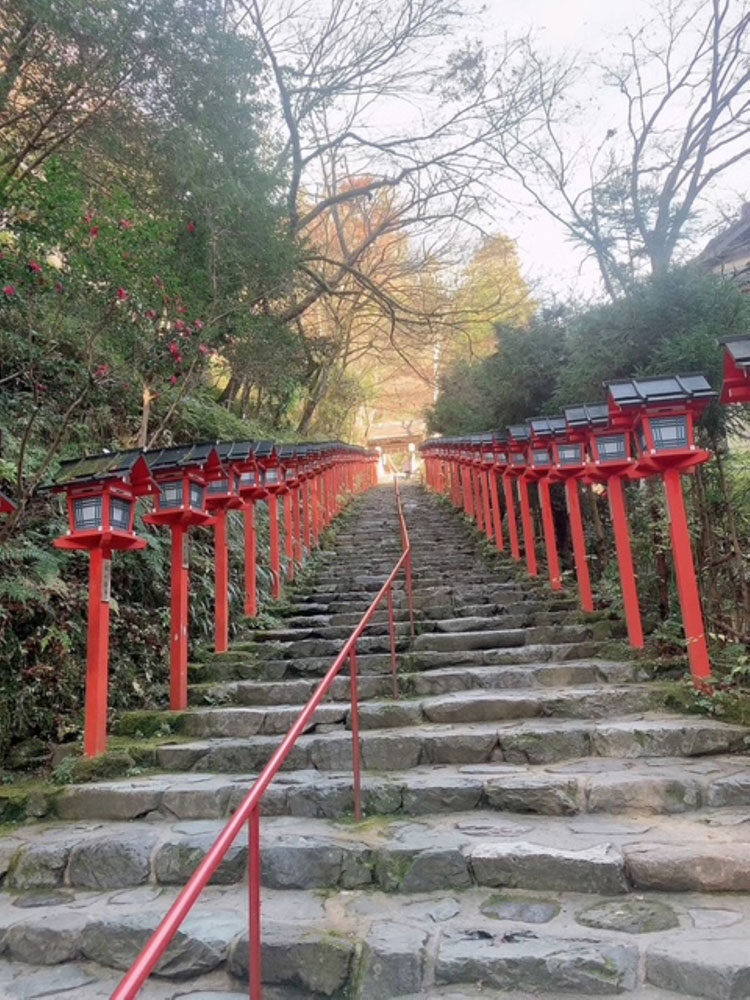 視野の異常が無くなっていました