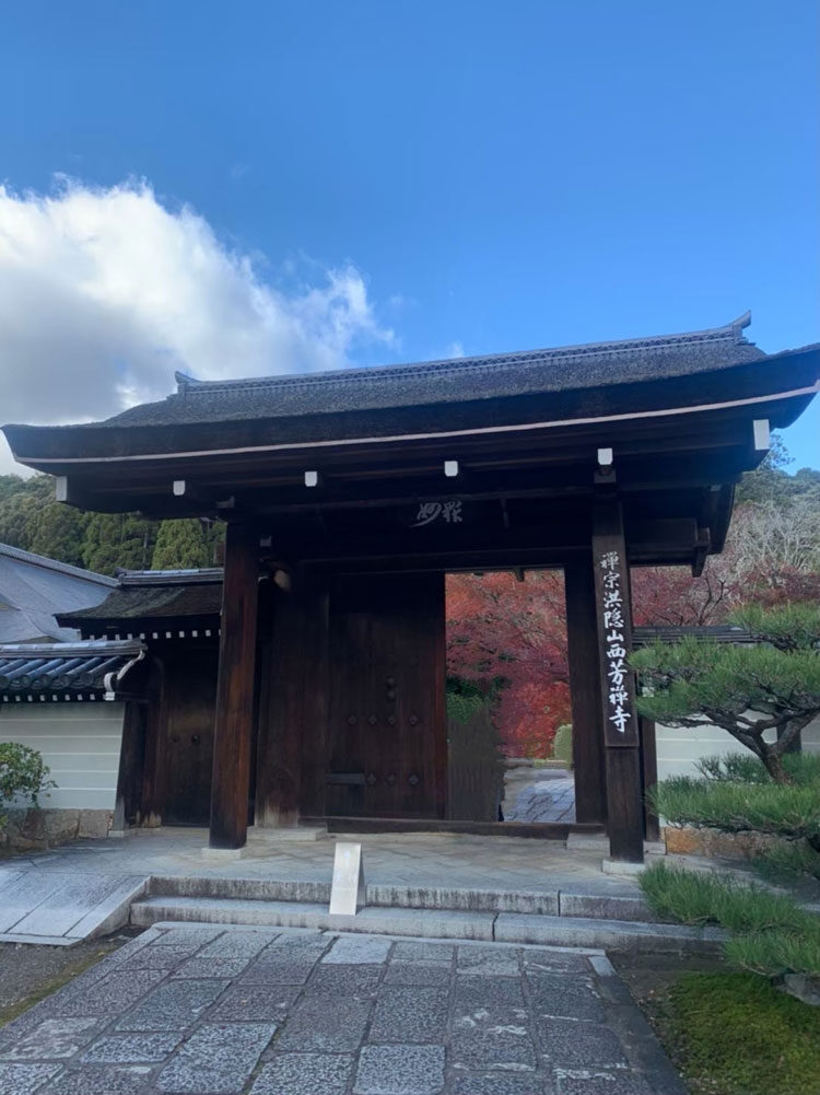 湿疹はほとんど無く綺麗な状態