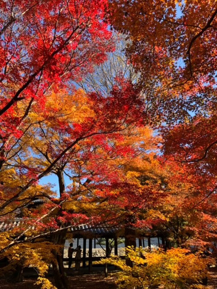 普段の音が聞こえるようになって