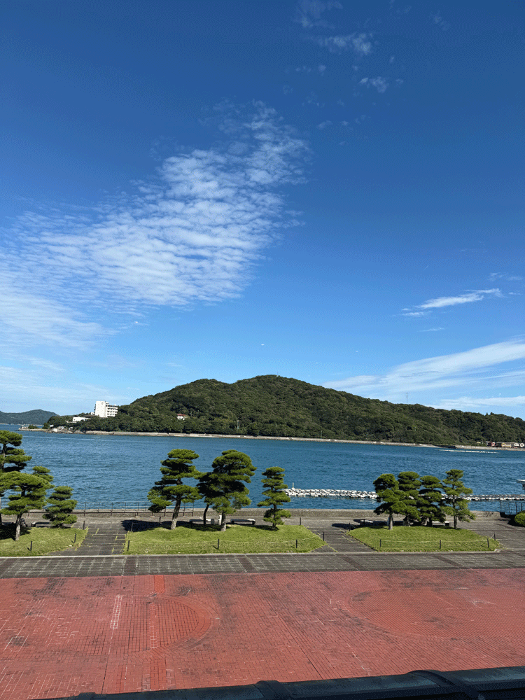 指のひび割れは酷くはならなくなってきました