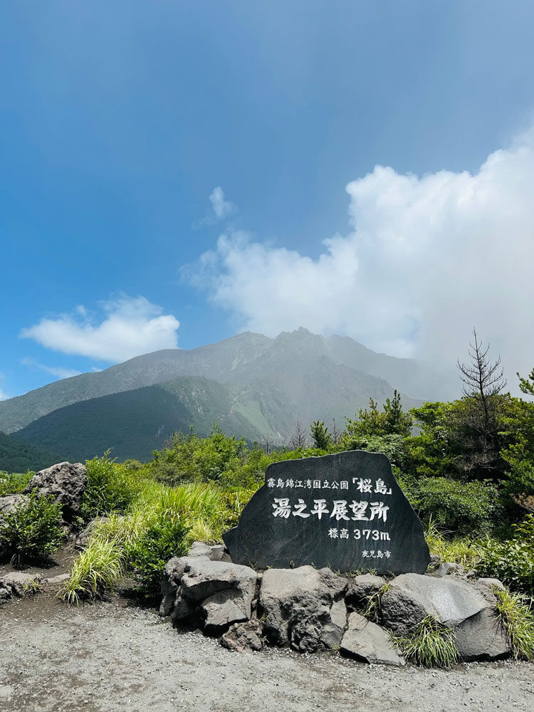 側頭部に脈拍と同時に、ズキズキ痛みを感じる