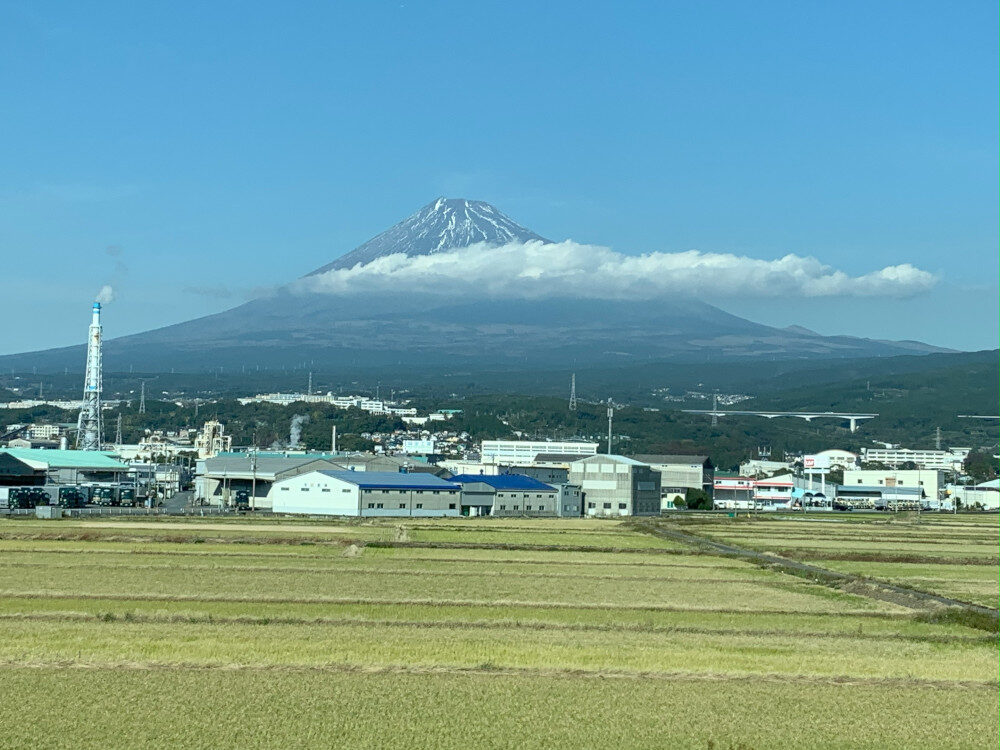 痛みの疾患。まとめ2