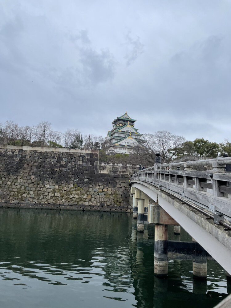 婦人科で用いられる反応穴