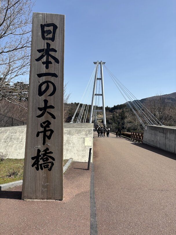 リウマチの漢方