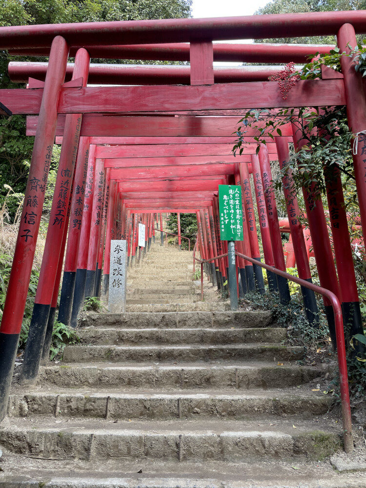 婦人科各論、月経困難症、生理痛