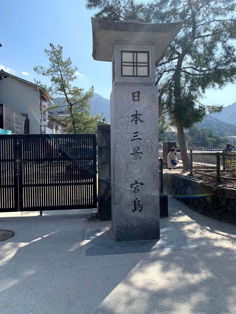 婦人科各論、子宮下垂、子宮脱出