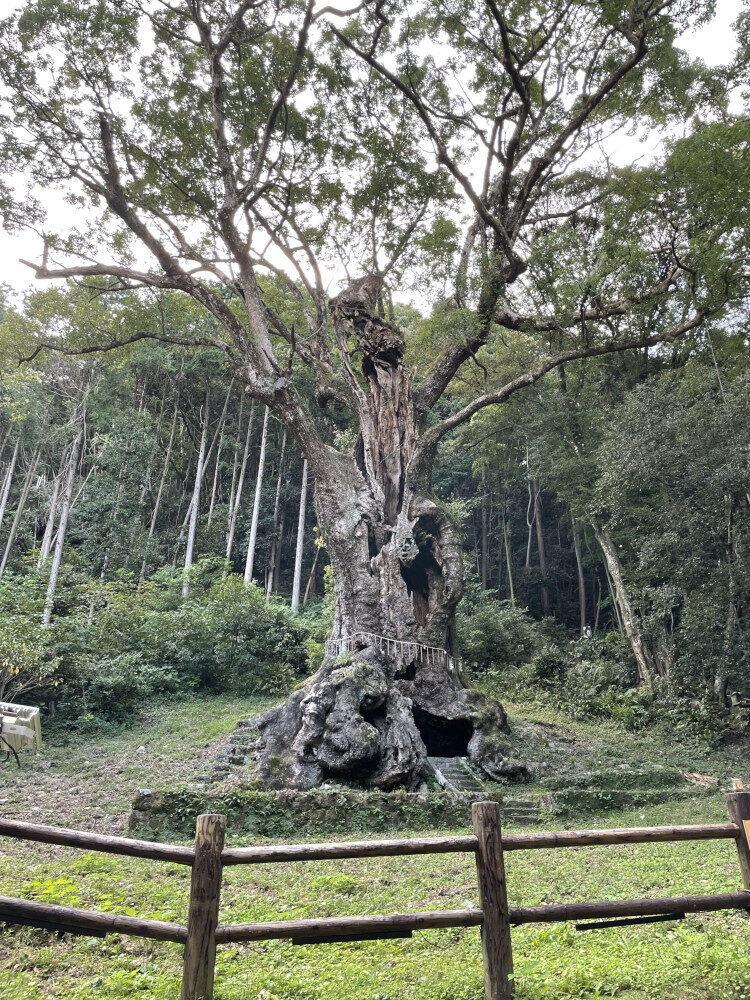 病院薬を完全に抜く事ができました