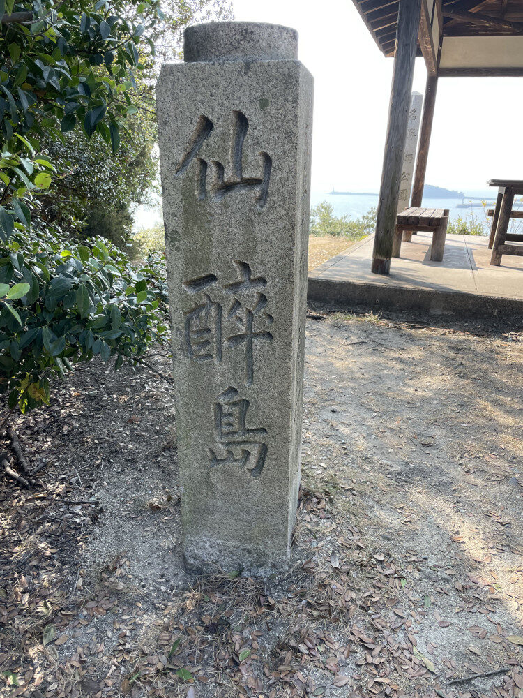 体調は良すぎるくらい元気です