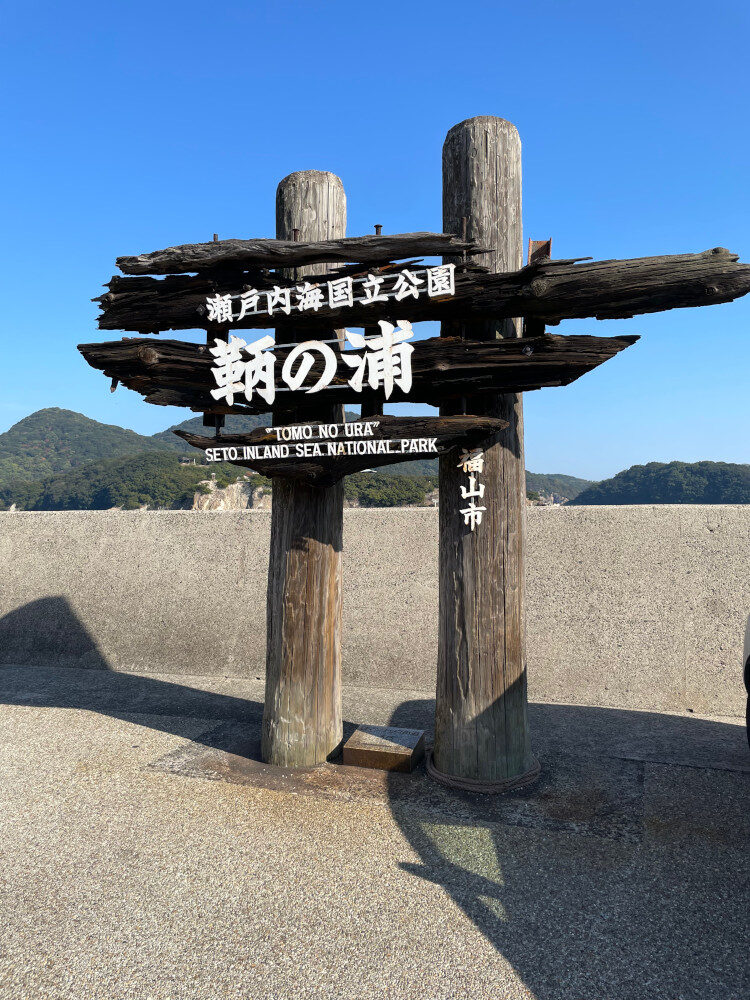 動けないという事はないです