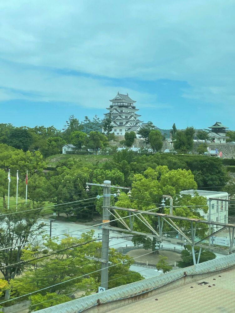 走れるようになりました