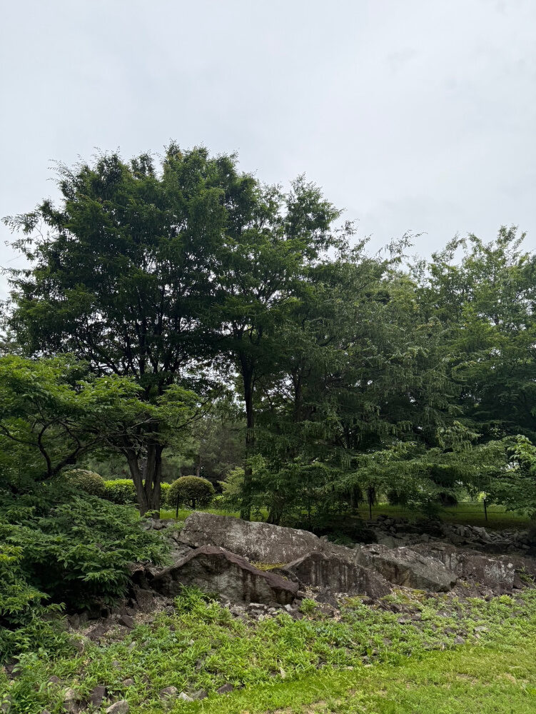あまり気にならなくなりました