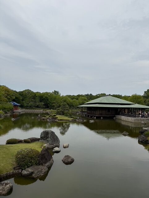 理解力も徐々についてきてます