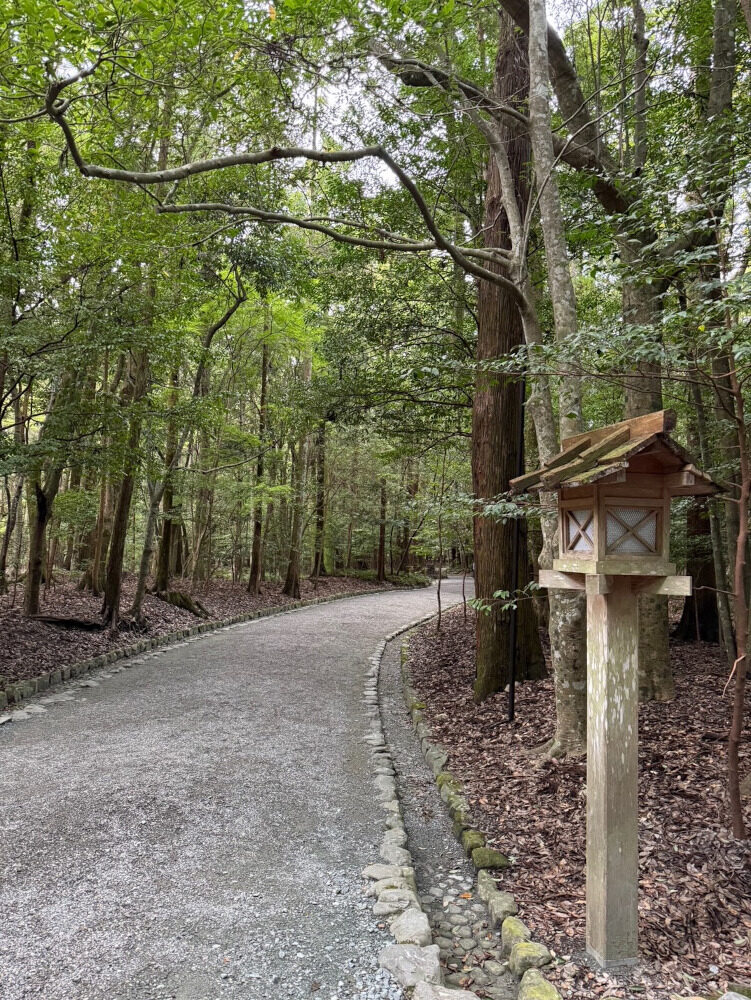 落ち着きが出てきました