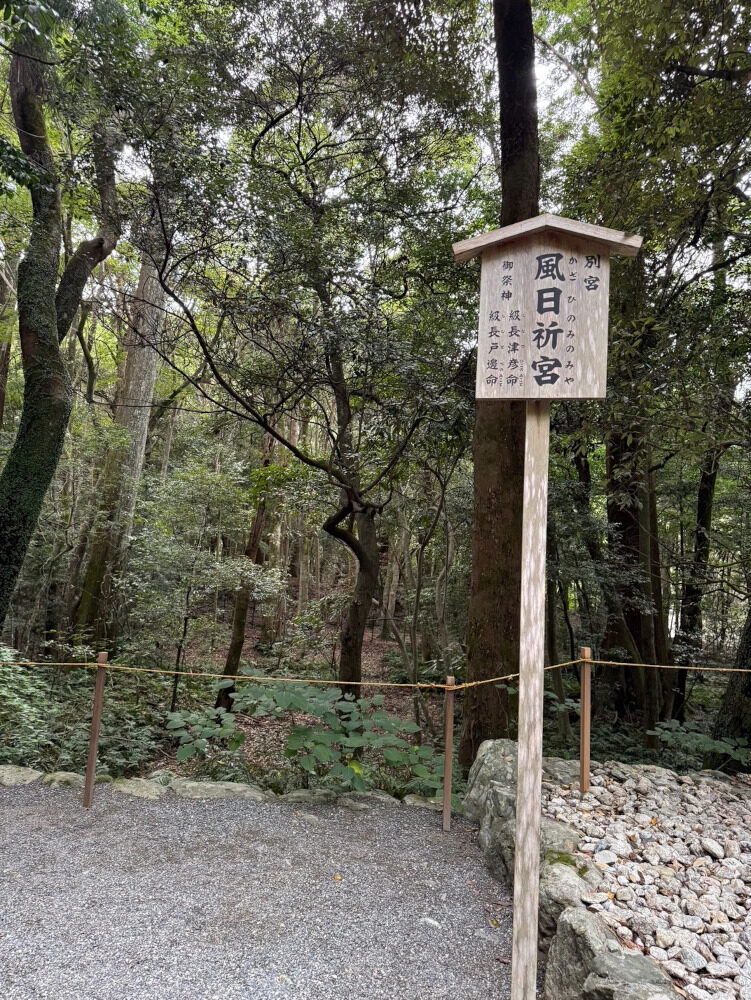 良くなっているのでお薬を減らせたら