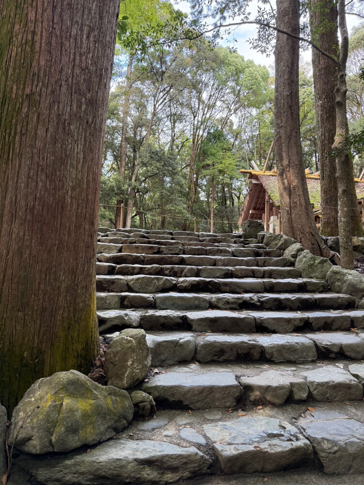動悸や息苦しさが落ち着いてきました