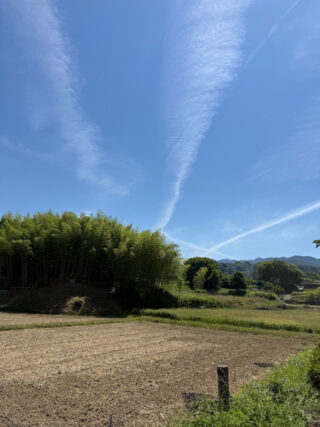 幻視は最近見なくなりました