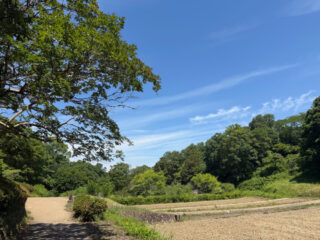 咳は治まってきています