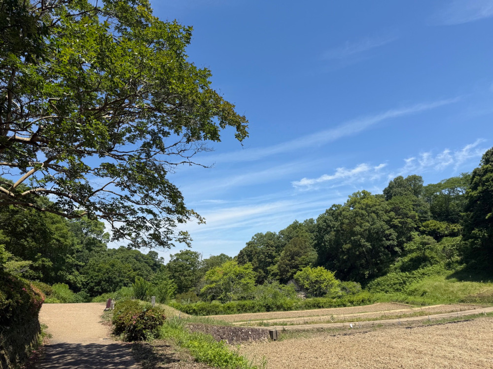 咳は治まってきています