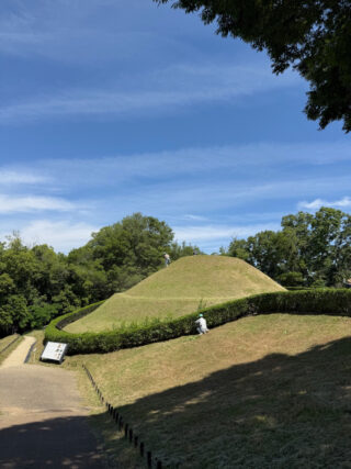 痛みが消失して本当に良かったですね