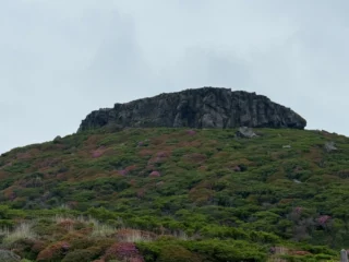 肝炎と漢方治療
