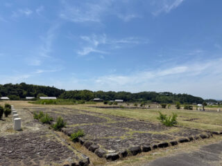 首回りの痒みも引いてきました